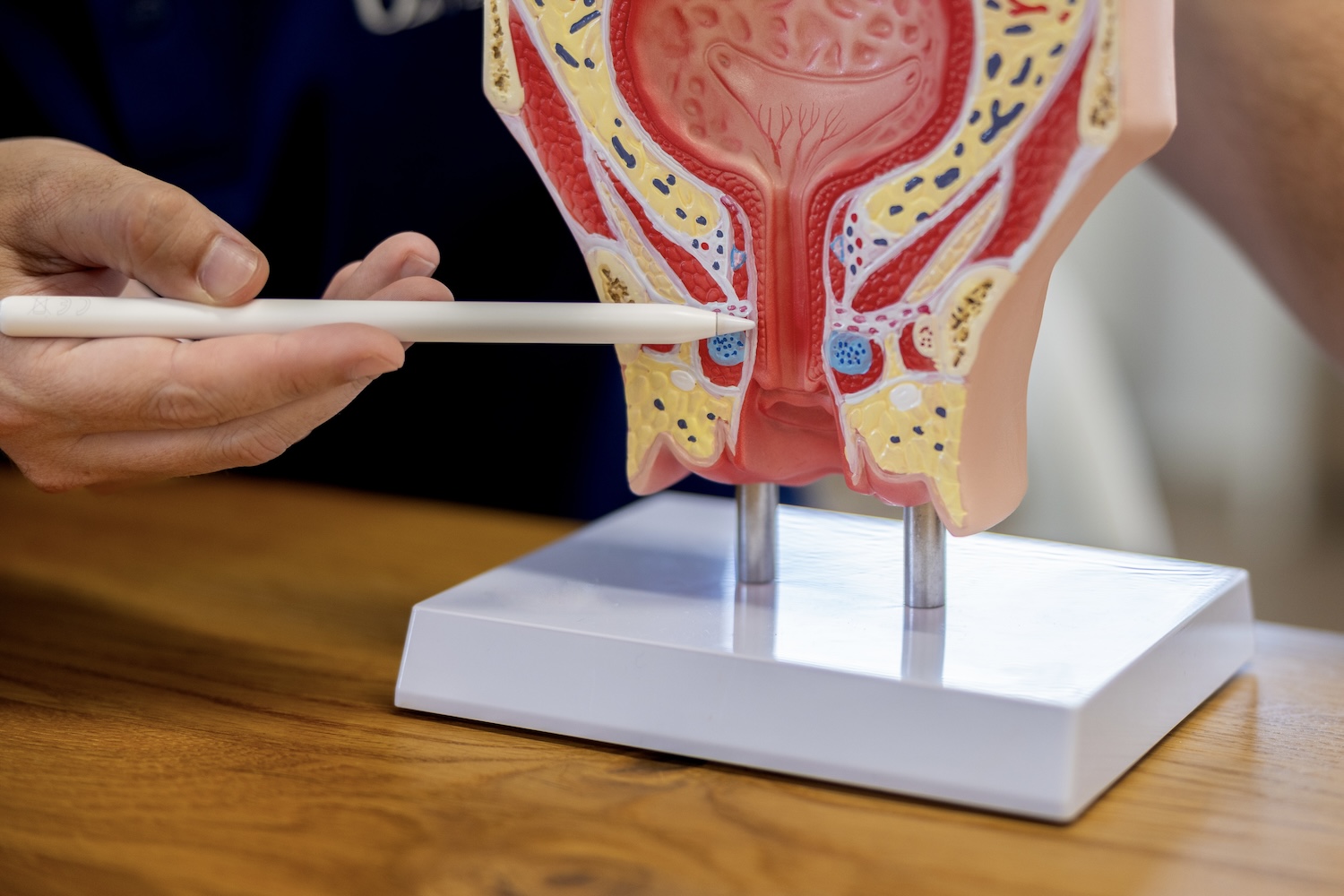 Urologie Zofingen (Foto: Martin Baur, Zofingen)